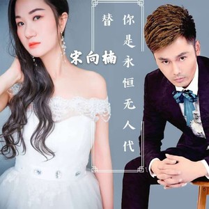 你是永恒无人代替