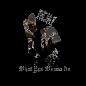 What You Wanna Do (Explicit)