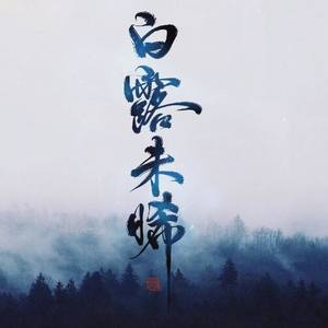 半途风华 (纯歌版)