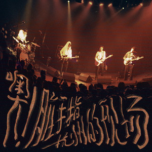 我也喜欢你的女朋友 (Live)