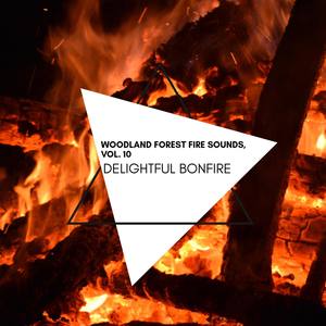 Delightful Bonfire - Woodland Forest Fire Sounds, Vol. 10