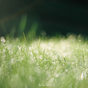 Spring rain