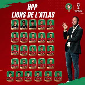 Lions de l'atlas