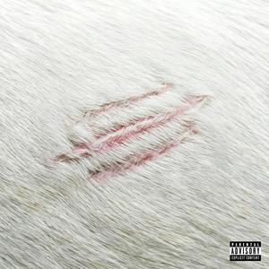 Cicatrices (Explicit)