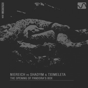 The Opening of Pandora's Box (Original Mix)