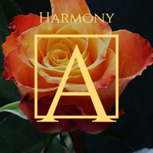 Harmony A