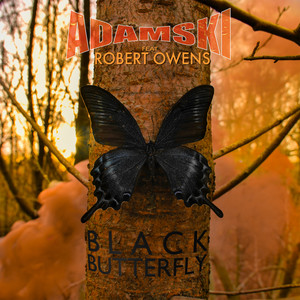 Black Butterfly (Mr. C Remix)