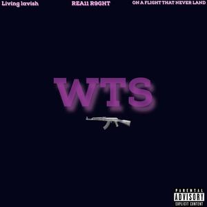 WTS (Explicit)