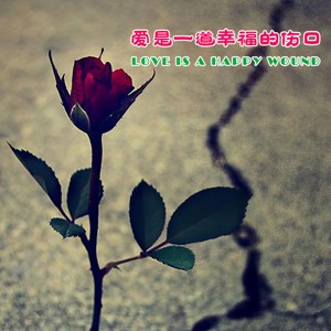 赴你的宴席 - 高婧封面