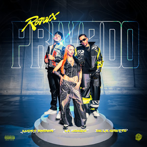 Privado (Remix|Explicit)