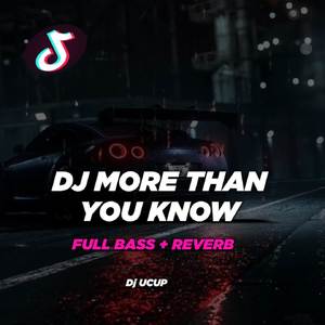 DJ More Than You Know -INST