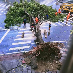 艺术家痉挛 (feat. EVEN()