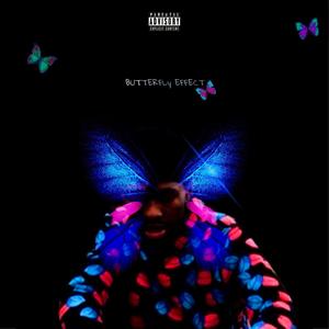 Butterfly Effect (Explicit)