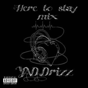 Here to stay mix (Explicit)