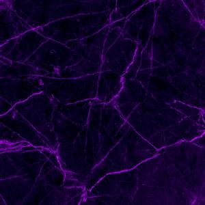 RNS (Cardo2loyal) (Explicit)