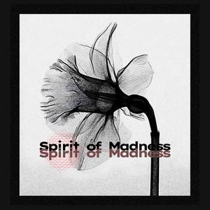 spirit of madness