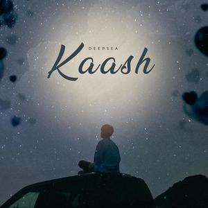 KAASH (feat. Shabby) [Explicit]