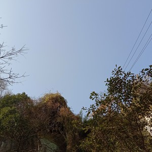 我们最终将会孤独地死去