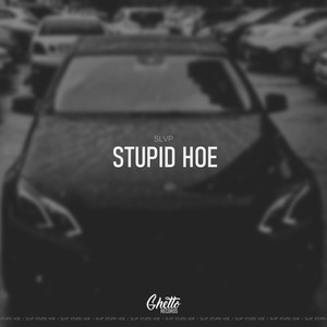 Stupid Hoe (Explicit)