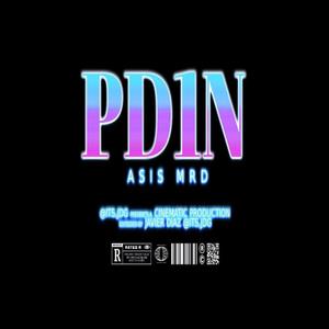 PD1N (Explicit)