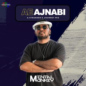 Ae Ajnabi (A Strangers Journey Mix)