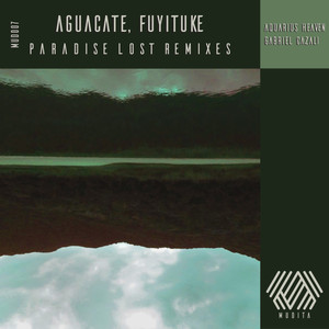 Paradise Lost Remixes