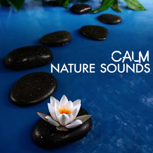 Calm Nature Sounds