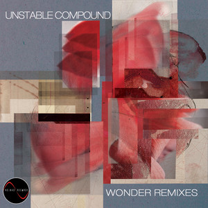 Wonder Remixes