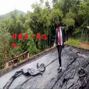 伴舞者 (舞蹈版)