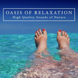 Oasis of Relaxation - Listen to High Quality Sounds of Nature with Relaxing Music