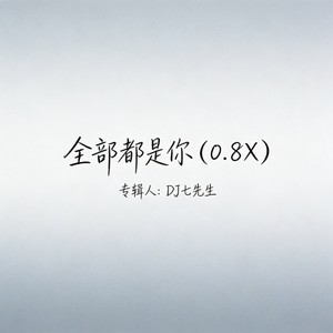 全部都是你 (0.8x) - DJ七先生封面
