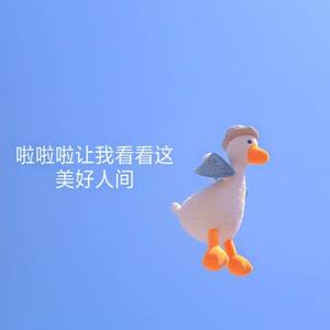 与你相遇