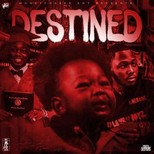 Destined (Explicit)