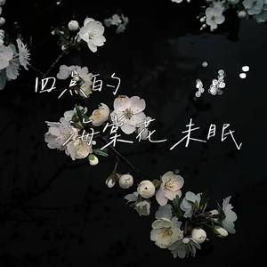 四点的海棠花未眠