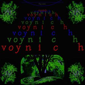 voynich (Explicit)