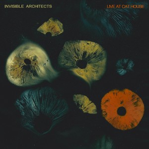 Mary Had a Little Spasm (Live)