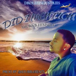 DID I MENTION (feat. MR RNB HIMSELF|Explicit)