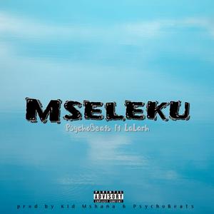 Mseleku (feat. Lalar & Mellorh Vee (PsychoBeats)) (Explicit)