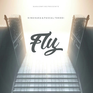 Fly (Explicit)