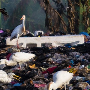 Straight Filthy (Explicit)