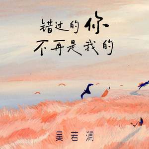 错过的你不再是我的