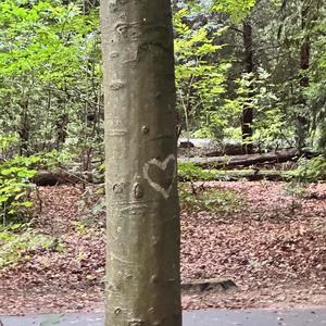 we can't kick it (Explicit)