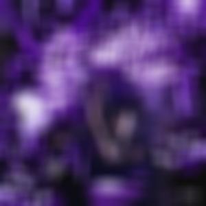 Lit-Uation (Explicit)