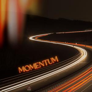 Momentum