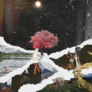 tide pools (feat. ZAYB & ansh)