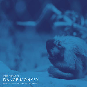 dance monkey (ambient version)