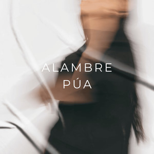 Alambre Púa