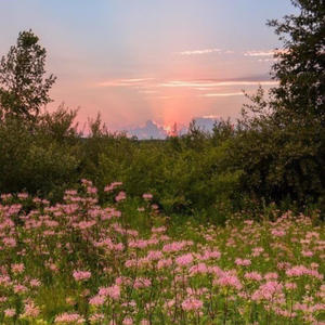 Tryna Find A Way To Escape My Mind (feat. FøRD & Greenwood) (Explicit)