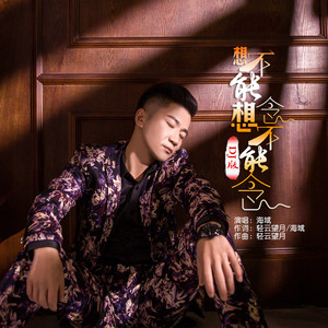 想不能想念不能念 (DJ沈念版)