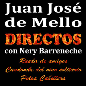 Directos Con Nery Barreneche